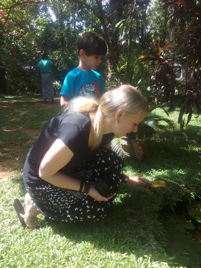 Dambulla Green Villa Ngoại thất bức ảnh